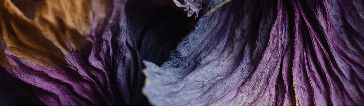 うぇぶしごと　AkiWebWorks